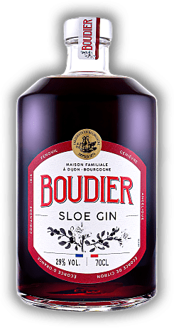 Gabriel Boudier Sloe Gin